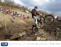 alf_bendall